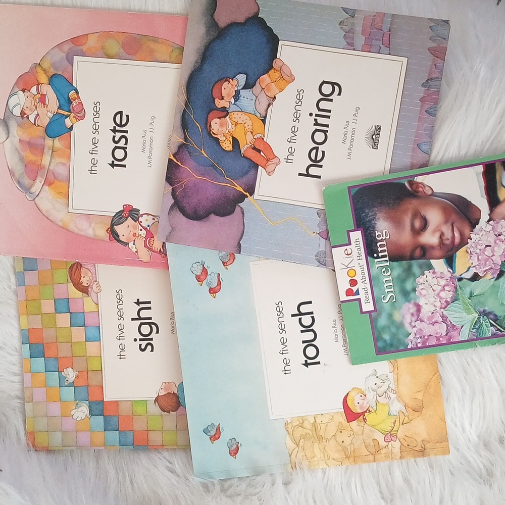 The Five Senses Children's Book Lot